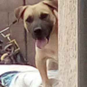 Meet your Posher, Alex